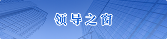 領導之窗